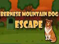 თამაში Bernese Mountain Dog Escape ონლაინ