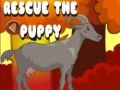 თამაში შენ შეგიძლია მაშველ puppies ონლაინ