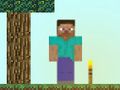 თამაში SkyBlock ონლაინ