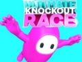 თამაში მზის ნავის Ultimate Knockout Race ონლაინ