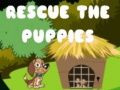თამაში შენვალი puppies ონლაინ