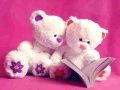 თამაში მხიარული Teddy საყიდლებო ონლაინ
