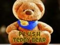 თამაში პლუშის Teddy Bear ონლაინ