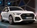 თამაში Audi SQ5 TDI ცოცვა ონლაინ