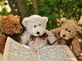 თამაში კეთილი სამი Teddy თავსატეხი ონლაინ