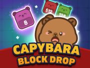 თამაში Capybara ბლოკის ვარდნა ონლაინ