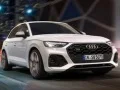 თამაში Audi SQ5 TDI ცოცვა ონლაინ