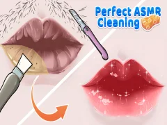 თამაში სრულყოფილი ASMR დასუფთავება ონლაინ
