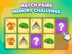თამაში Match Pairs Memory Challenge ონლაინ