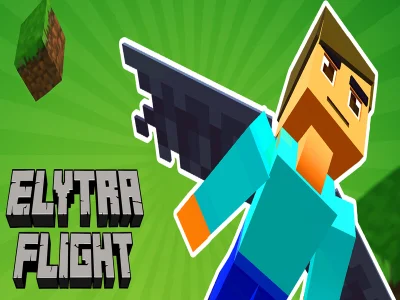 თამაში Elytra ფრენა ონლაინ
