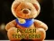 თამაში პლუშის Teddy Bear ონლაინ