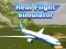 თამაში რეალური ფრენისSimulator ონლაინ