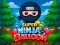 თამაში Super Ninja Balloon ონლაინ