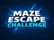 თამაში Maze Escape გამოწვევა ონლაინ