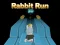 თამაში Rabbit Run 3D ონლაინ