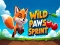თამაში Wild Paws Sprint ონლაინ