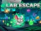 თამაში Lab Escape ონლაინ