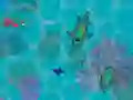 თამაში Sharkz.io ონლაინ