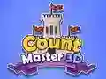 თამაში რიცხვების მასტერ 3D ონლაინ