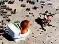 თამაში TopDown Skibidi ტუალეტის სროლა ონლაინ თამაში TopDown Skibidi ტუალეტის სროლა ონლაინ