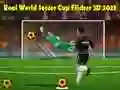 თამაში ნამდვილ მსოფლიო თასი ფეხბურთში ფლიკერი 3D 2023 ონლაინ