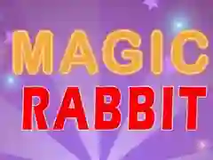 თამაში ჯადოსნური წვრილმანი ონლაინ