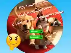 თამაში მრგვალი თავსატეხი: მოაგროვეთ სურათები საყვარელი ლეკვების ონლაინ თამაში მრგვალი თავსატეხი: მოაგროვეთ სურათები საყვარელი ლეკვების ონლაინ