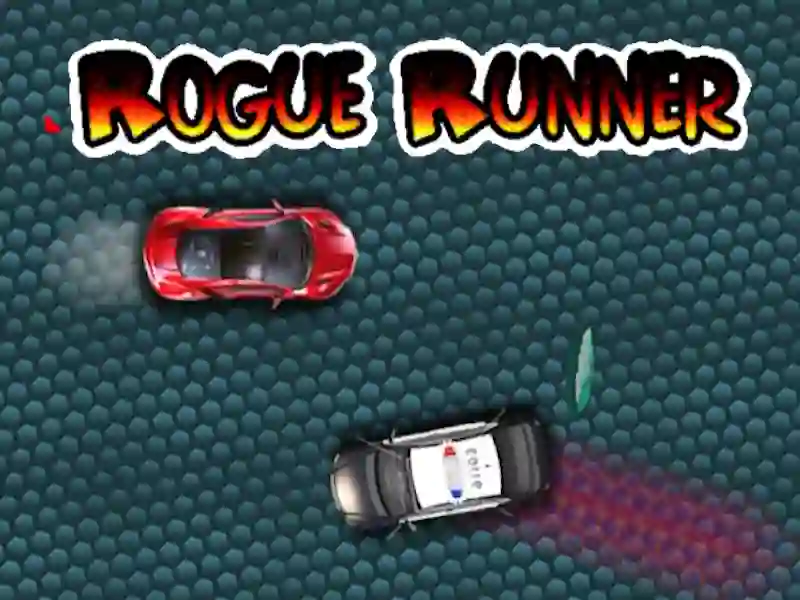 თამაში Rogue Runner ონლაინ