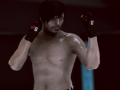 თამაში MFS: MMA მებრძოლი ონლაინ