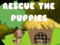 თამაში შენვალი puppies ონლაინ