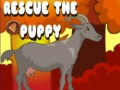 თამაში შენ შეგიძლია მაშველ puppies ონლაინ