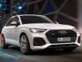 თამაში Audi SQ5 TDI ცოცვა ონლაინ